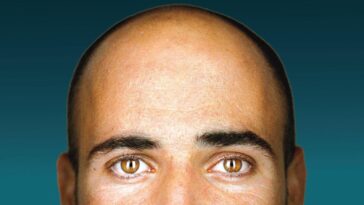 Andre Agassi Open biografia