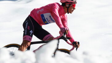 maglia rosa