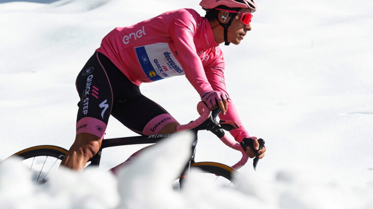 maglia rosa