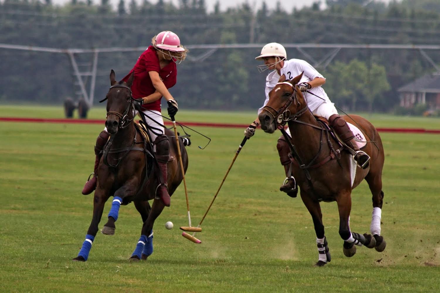 polo storia e regolamento