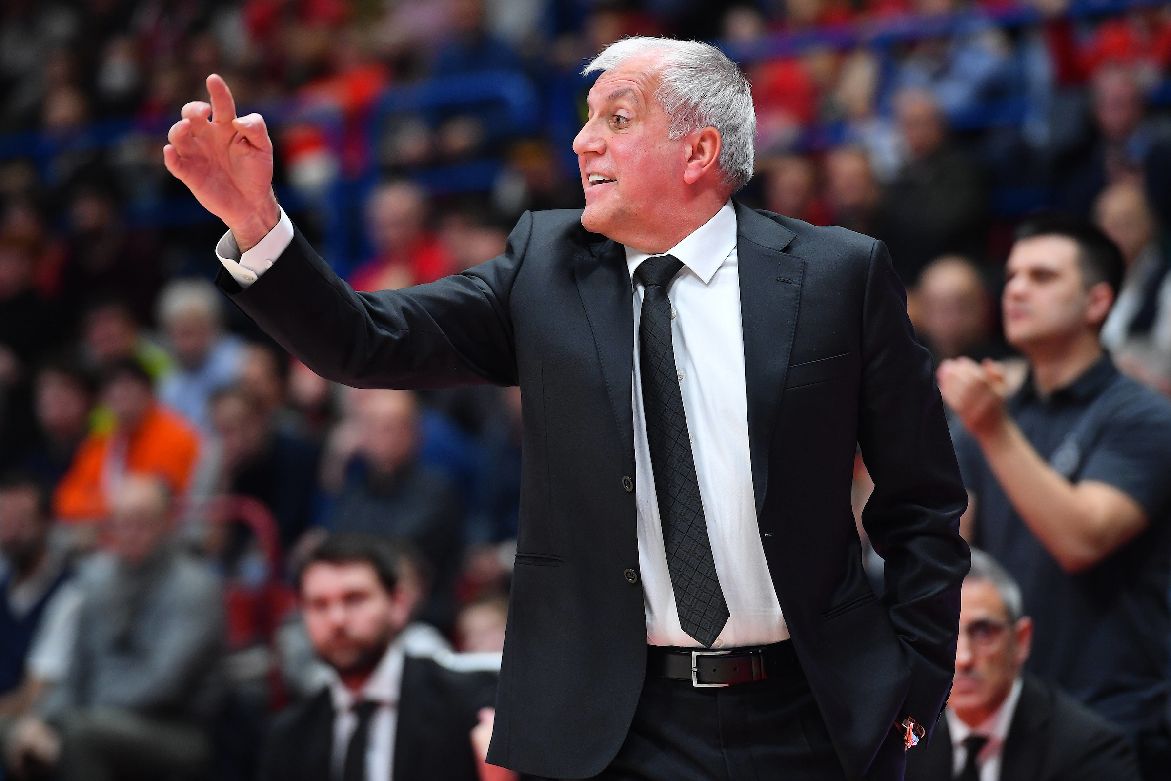 obradovic